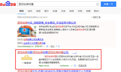 龙岩网站SEO优化